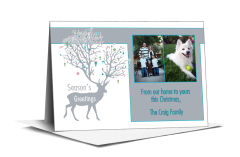Christmas Reindeer with Large Antlers Cards with photo  7.875
